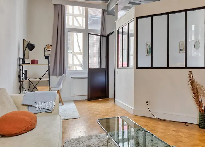 Apartman Ana 2 Pieces Au Coeur Du Centre Historique De Rouen